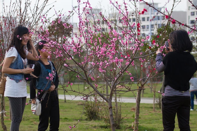 EF38572831122F91C6344B01EC8_082D662D_565EF.jpg?e=