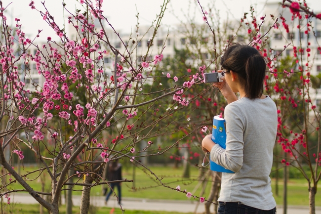 605DBC881D83610E340D5190873_2B3A62B9_54E21.jpg?e=