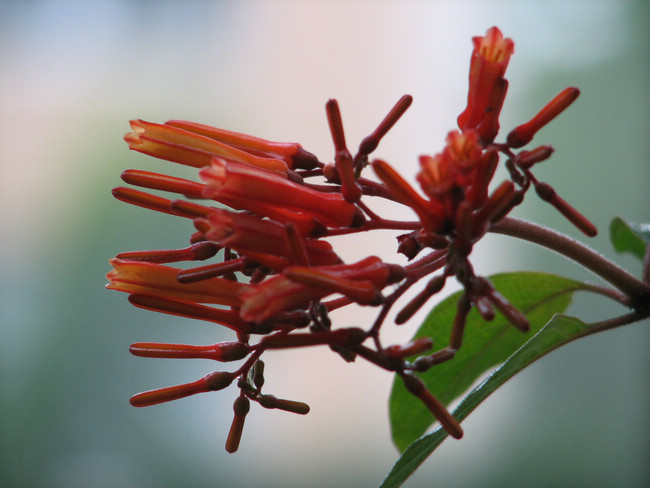 33DAD725757AA89386A21116159_DDD37961_15E5D.jpg?e=