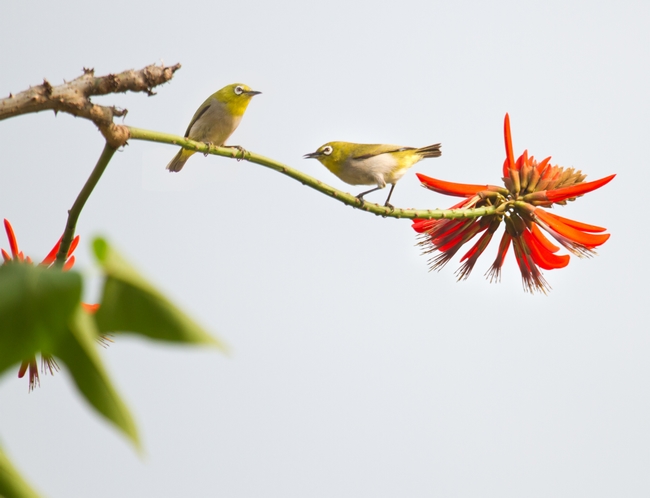 9AA035CFBB3C60FD42DCB1ADD0D_82CC890B_23A21.jpg?e=