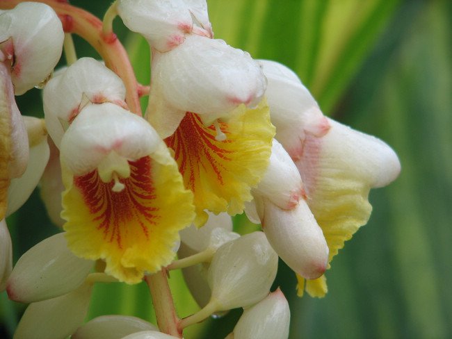 D9CD9E4CE9E8EFC8E8434804B58_1B89DEE2_15593.jpg?e=