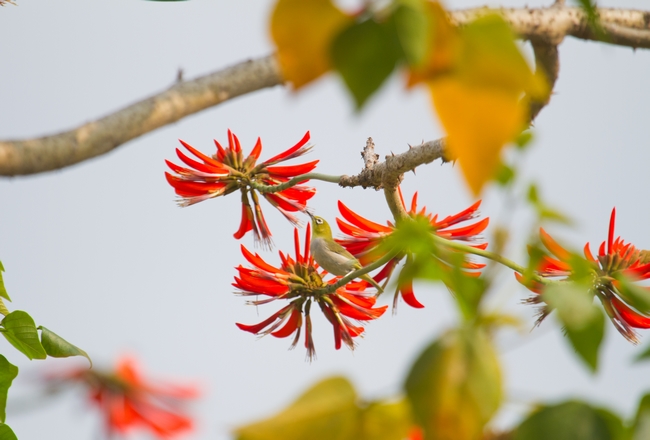 9500F91197BD5C2196517952005_44AEC232_2F8E5.jpg?e=