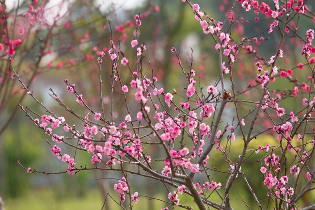 7B44466E969BAF7638625C87776_85BE64E1_4E702.jpg?e=