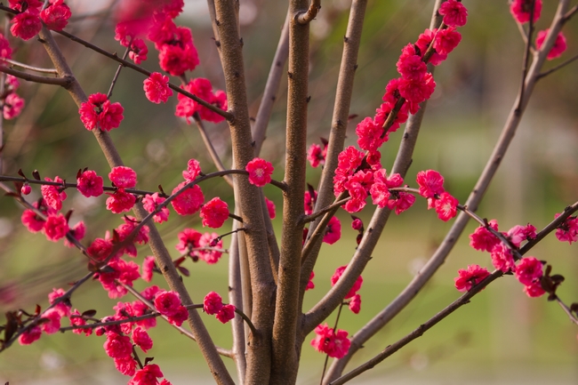 CF40C2E3EF64FB42138F4399D8B_DA8D78B5_4462B.jpg?e=